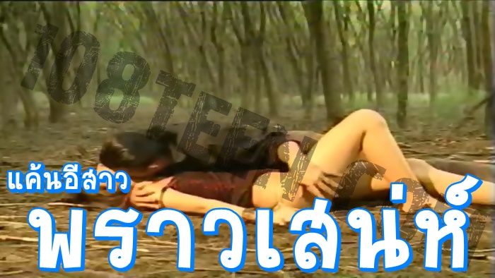 แค้นอีสาวพราวเสน่ห์