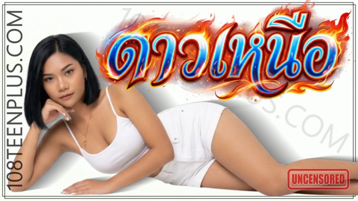 น้องดาวเหนือ